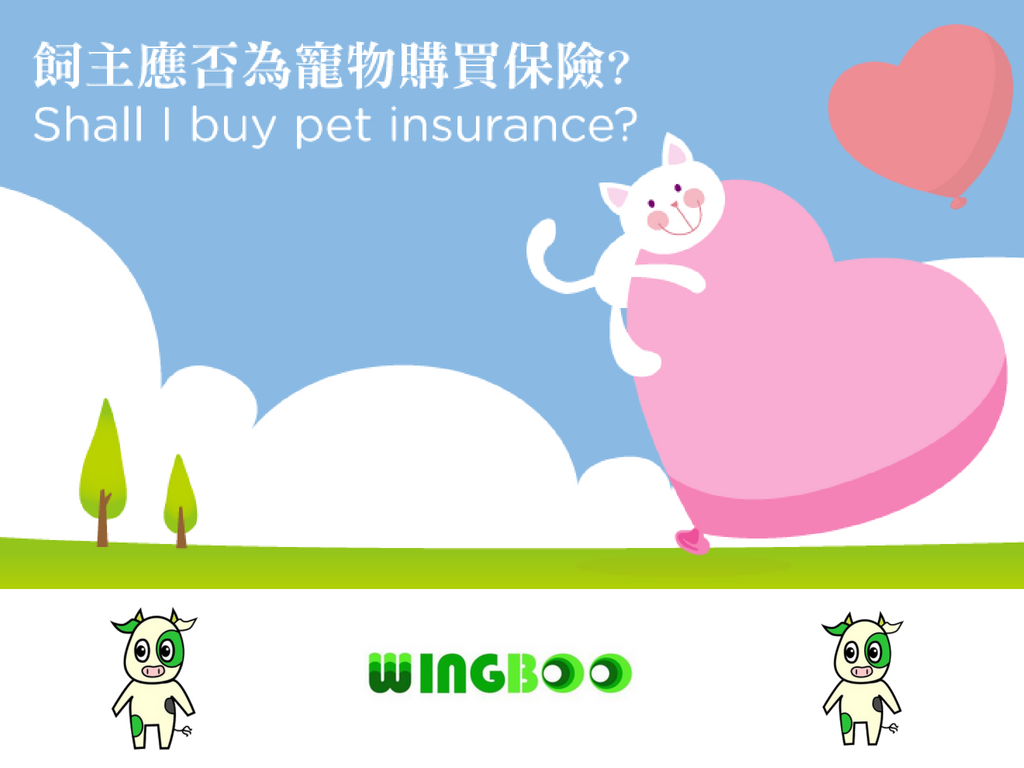 香港寵物保險比較-2019