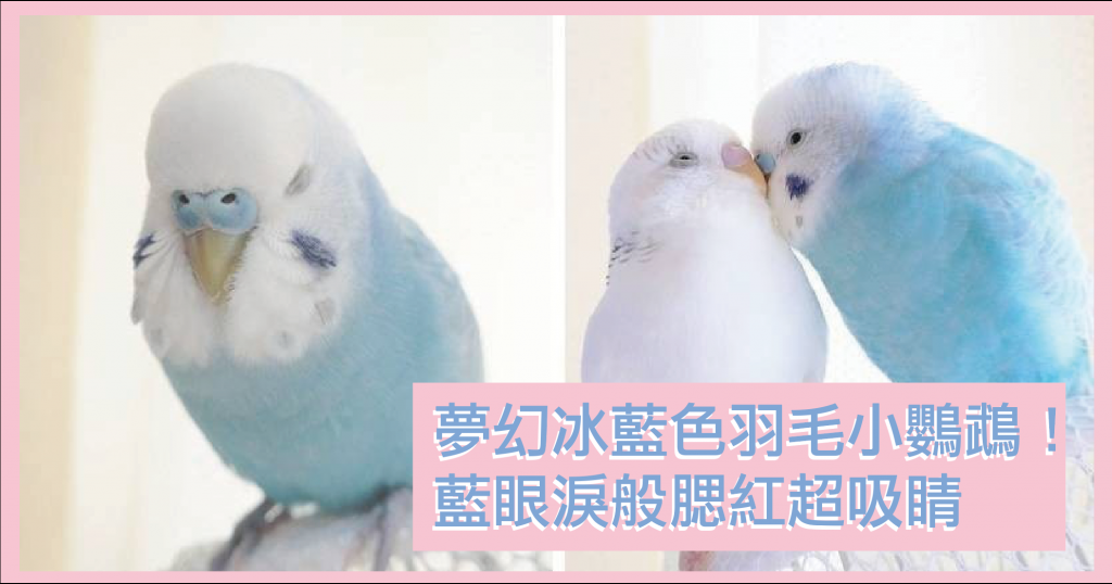 螢幕截圖 2020-12-01 20.10.05