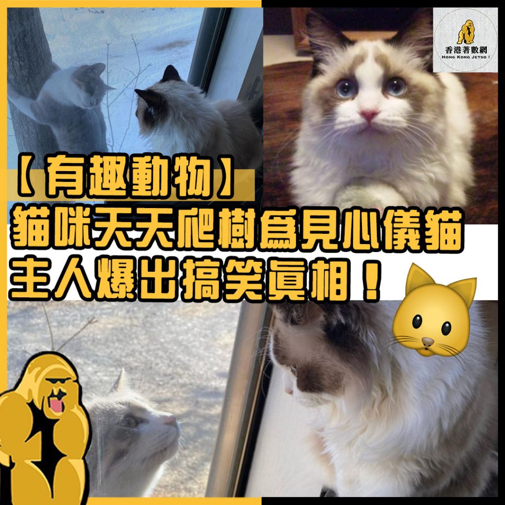 有趣動物15
