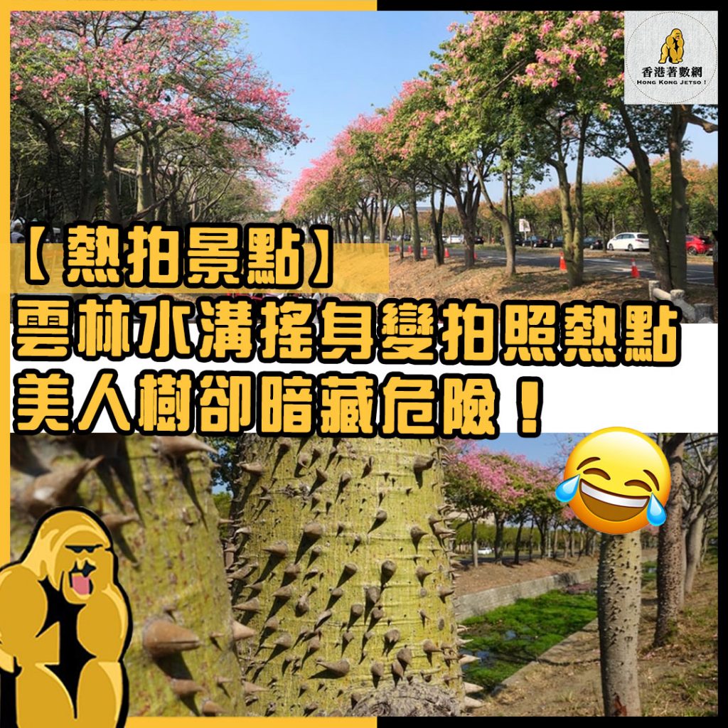 熱拍景點2