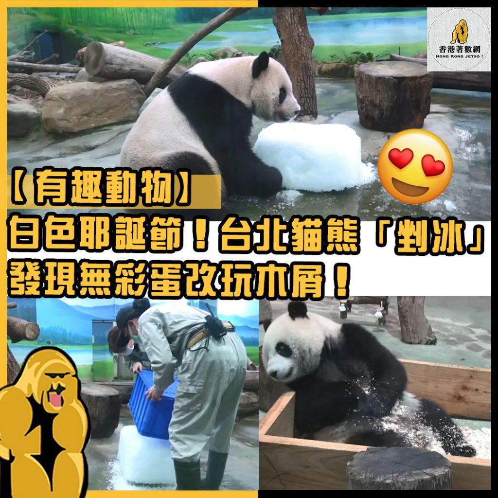 有趣動物22