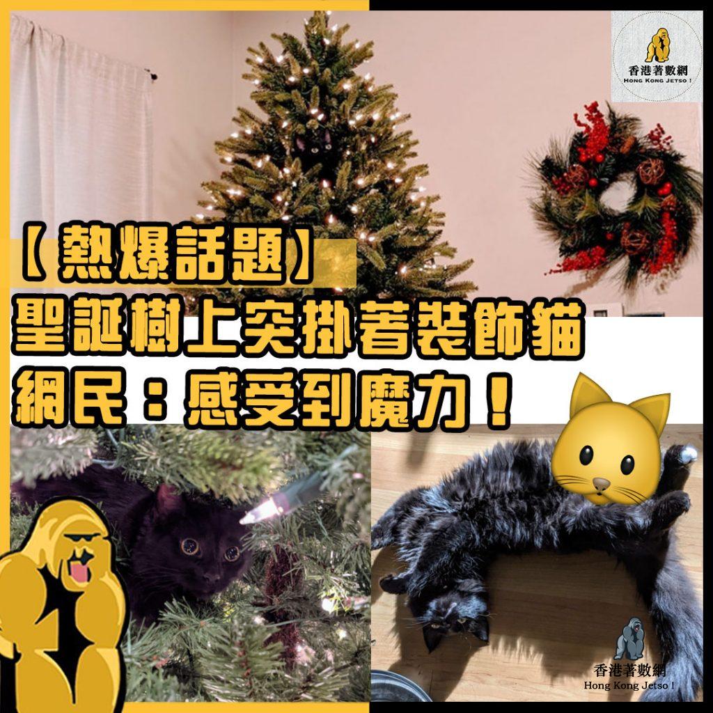熱爆話題7