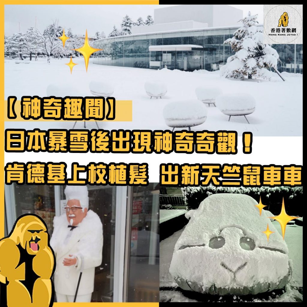 神奇趣聞3