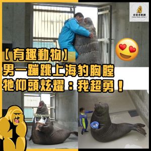 有趣動物40