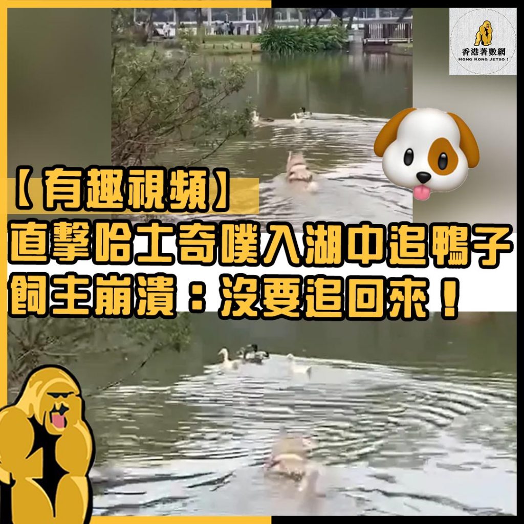 有趣視頻10