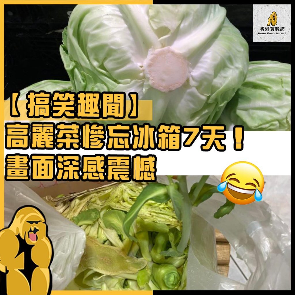 搞笑趣聞2