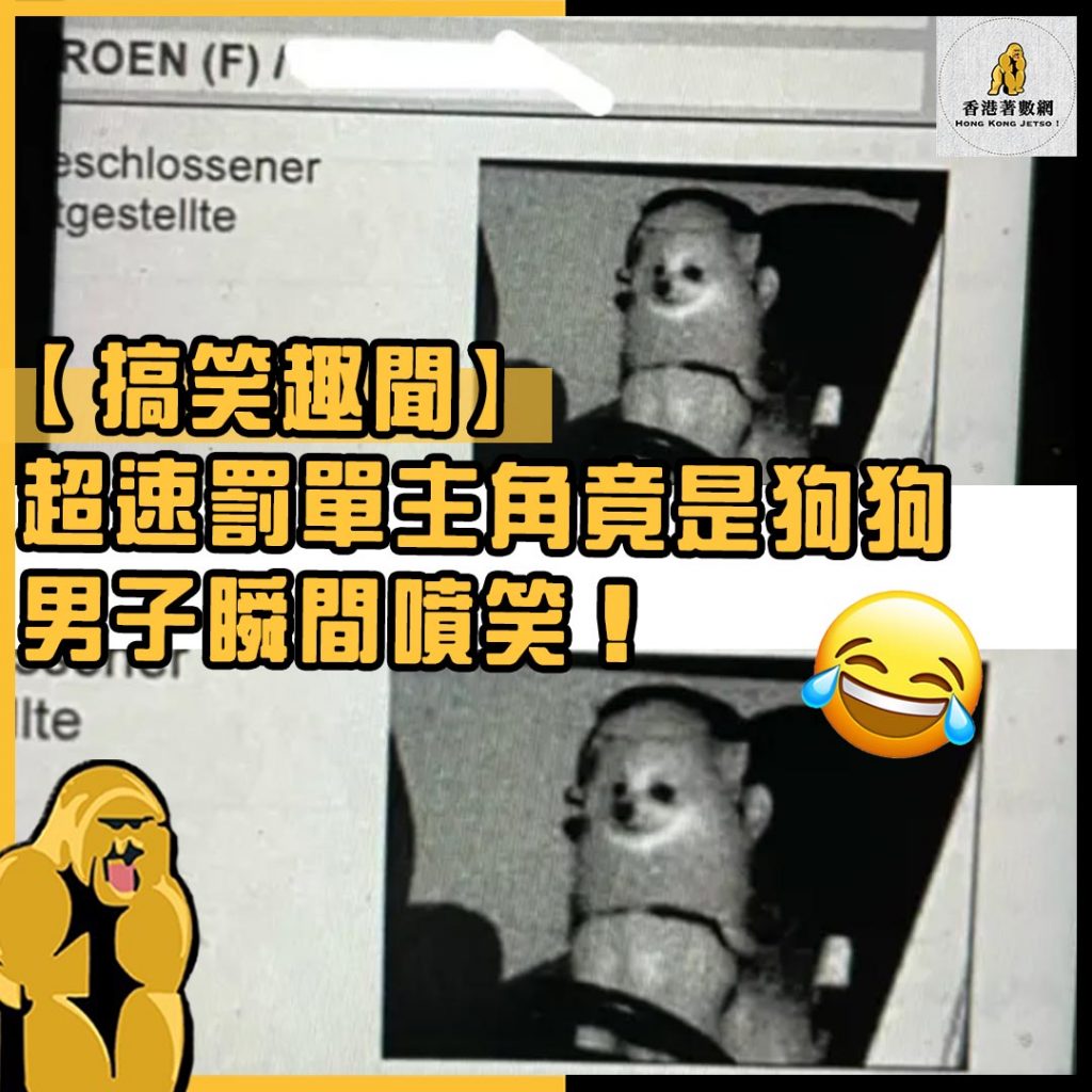 搞笑趣聞3