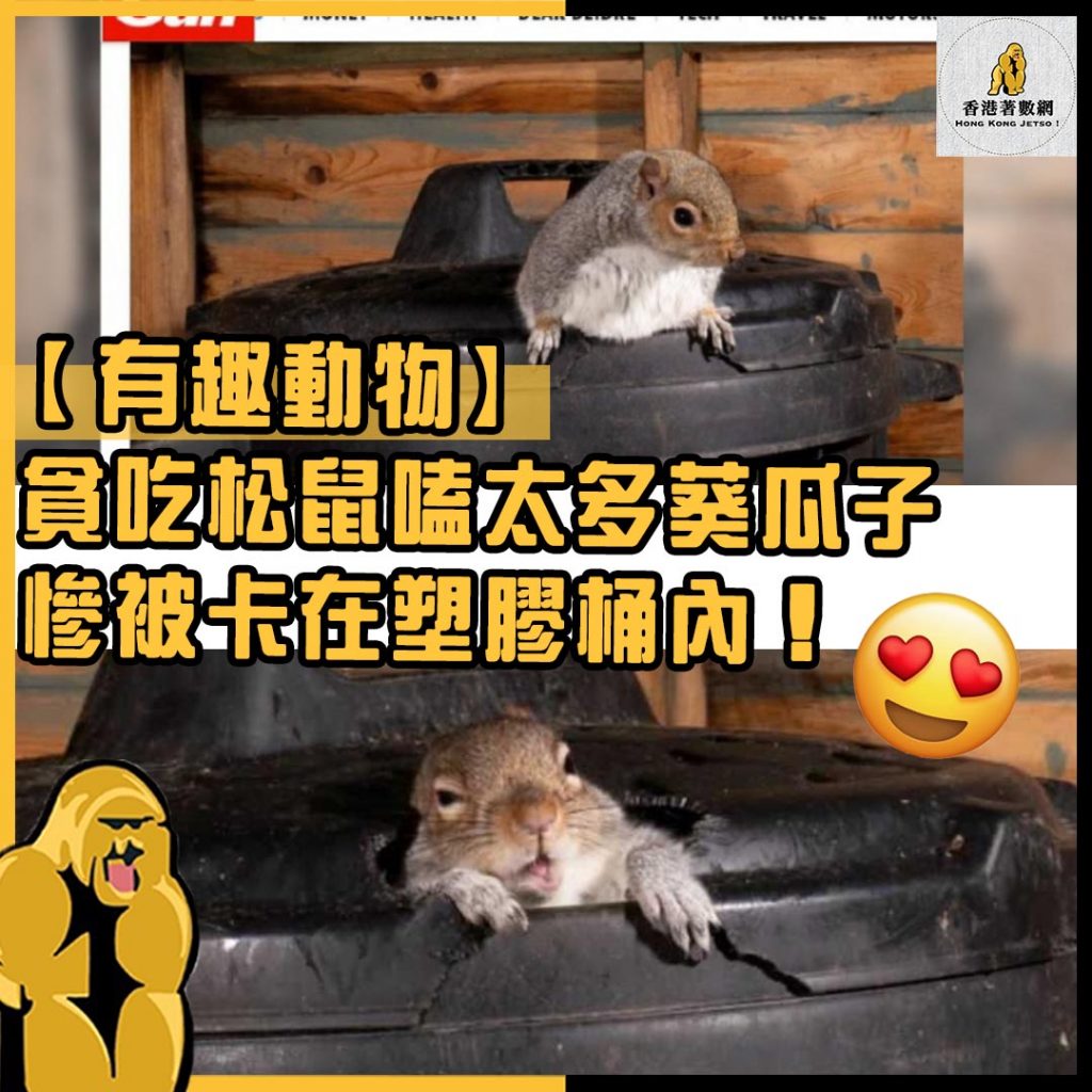 有趣動物45