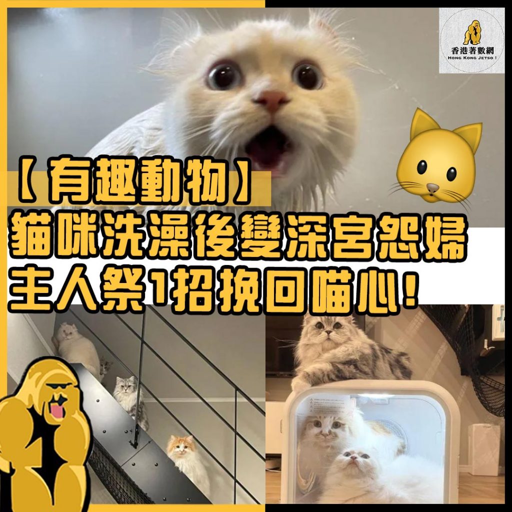 有趣動物48