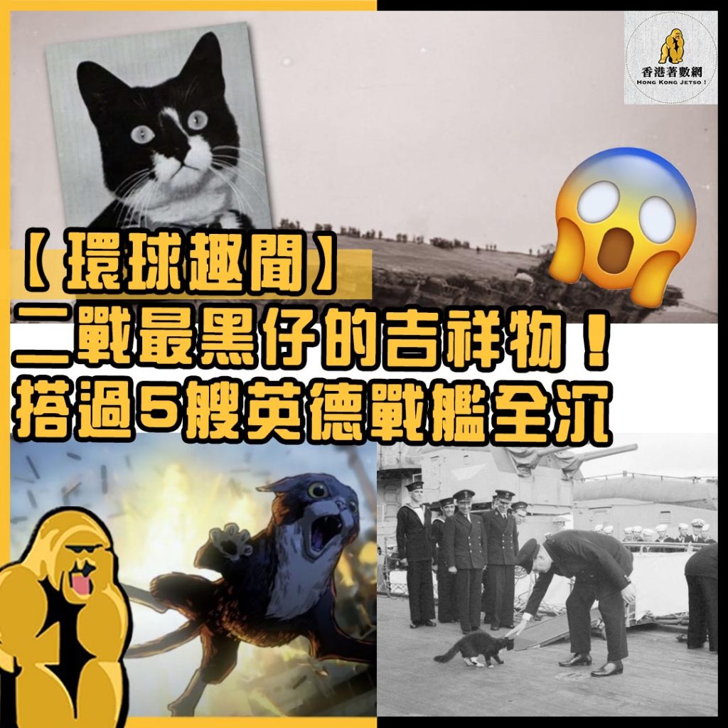 環球趣聞7