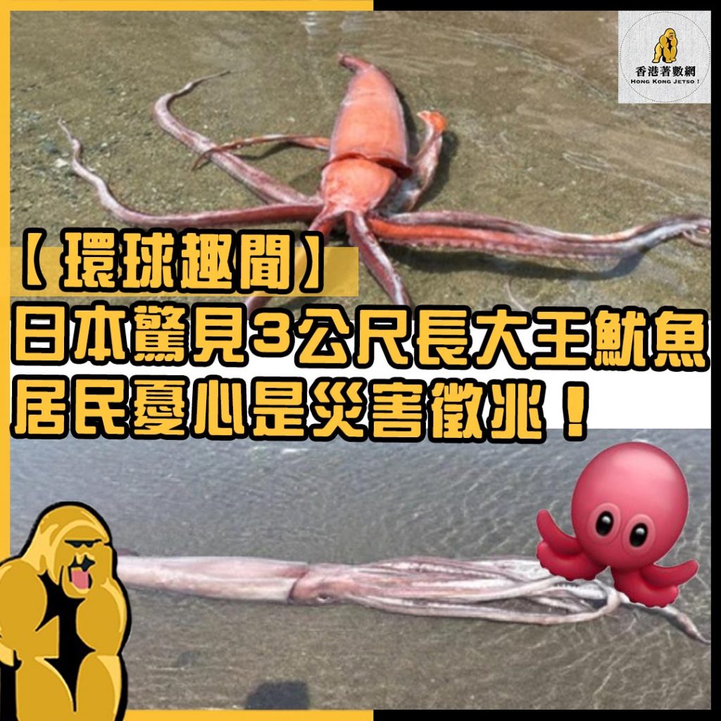 環球趣聞8