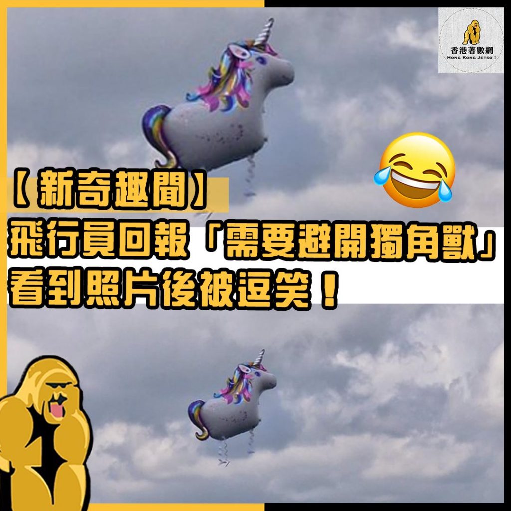 新奇趣聞24