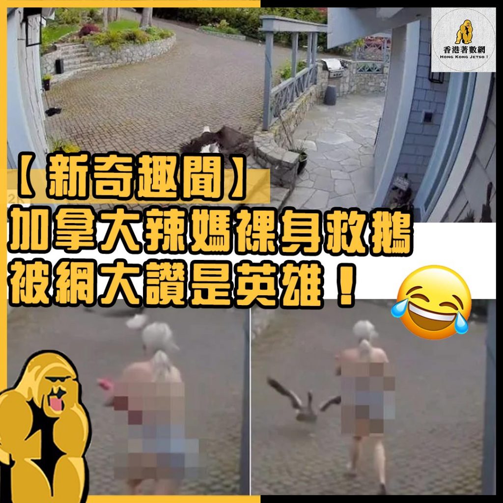 新奇趣聞27