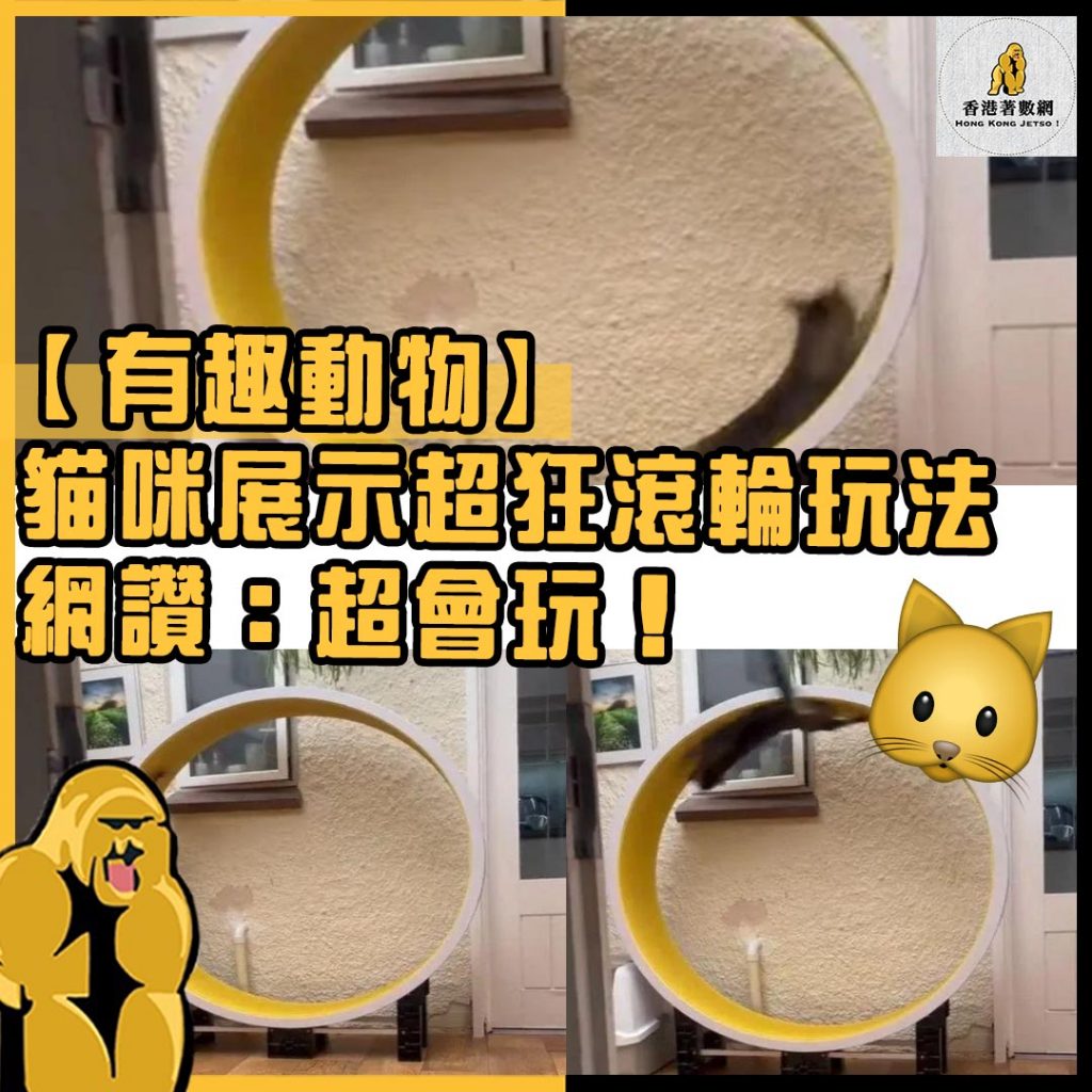 有趣動物57