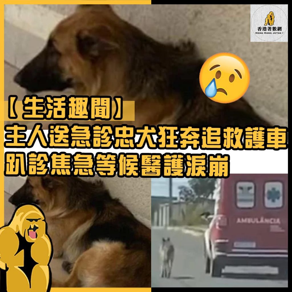 生活趣聞2
