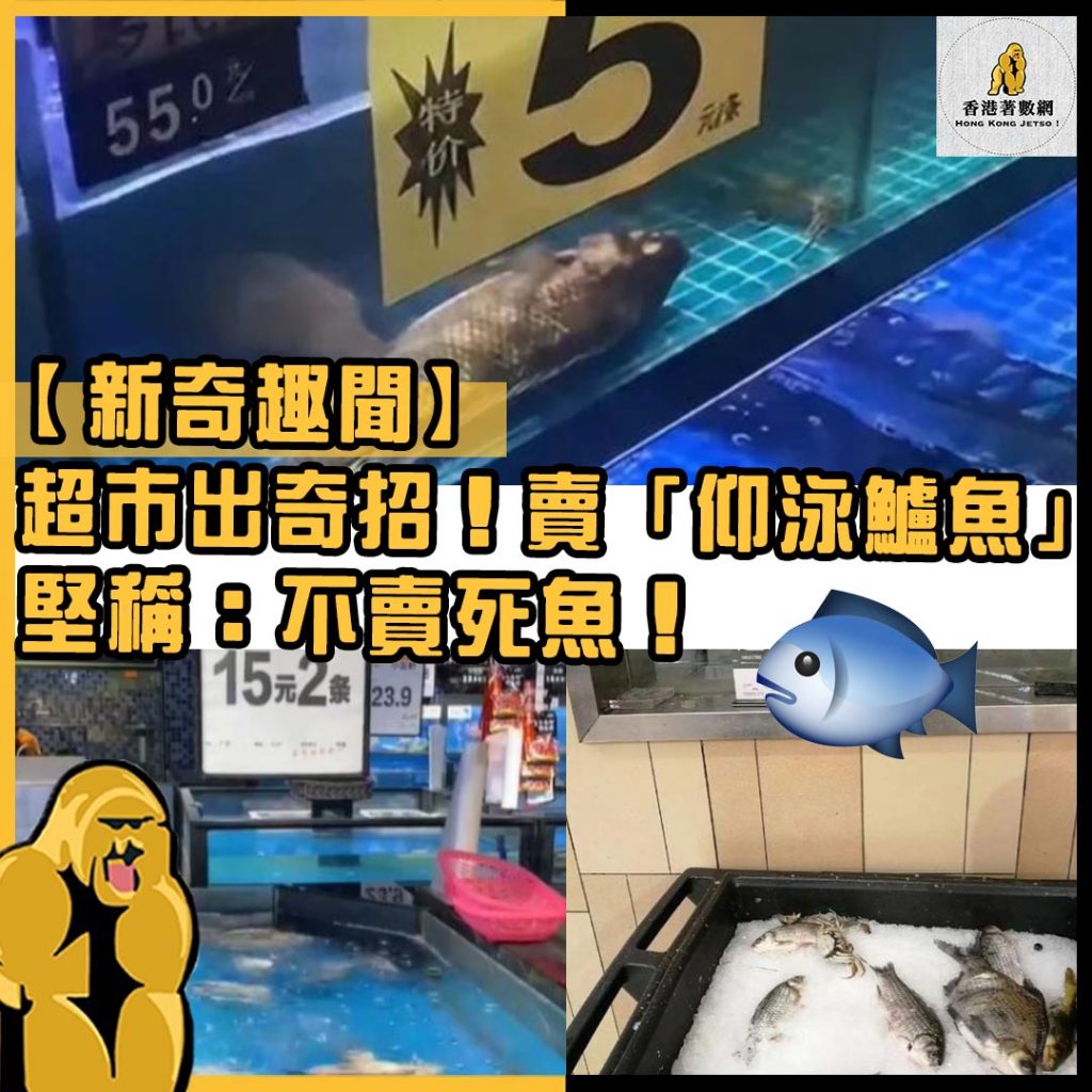 新奇趣聞30