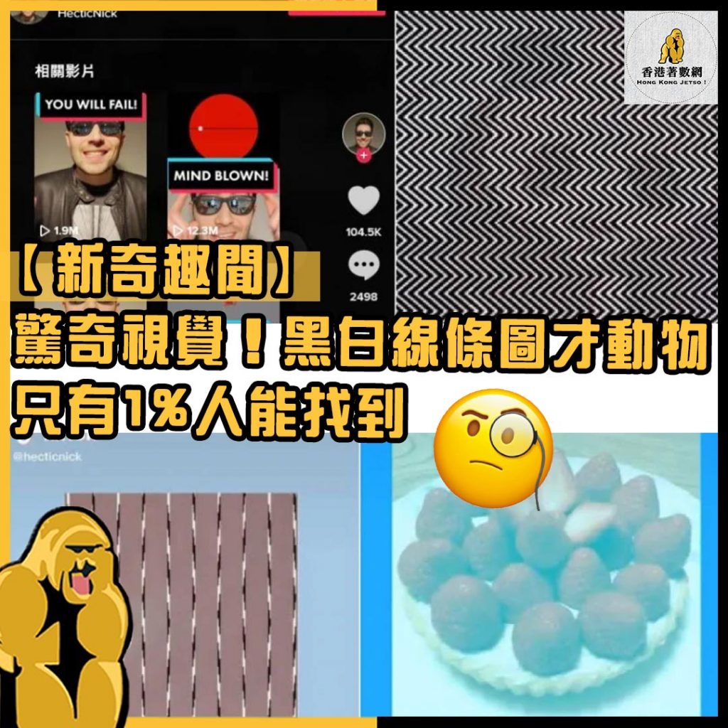 新奇趣聞31
